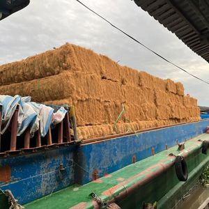 เส้นใยมะพร้าวคุณภาพสูงจากเปลือกมะพร้าวสำหรับทำเชือก ขายส่ง - Product Image 2