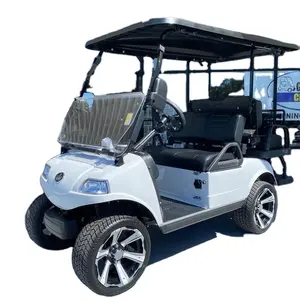 Trattore agricolo New-Holland disponibile a prezzo all'ingrosso Golf Car prezzo competitivo Max Charger Smart Motor