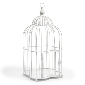 Cage à oiseaux en métal à toit rond avec un design élégant et courbé, adaptée à une utilisation décorative et fonctionnelle pour l'élevage des oiseaux. - Product Image 3