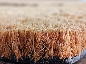 Eco2go Vietnam Eco-Friendly Durable Natural Fiber Coir <b>Doormat</b> for Home & Office - Product Image 3
