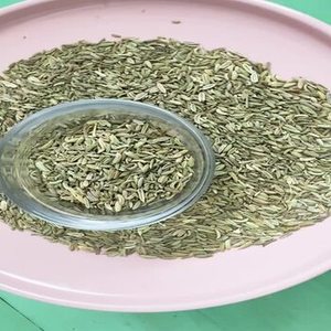 เมล็ดยี่หร่าอินเดียฤดูกาลใหม่สำหรับการสั่งซื้อเชิงพาณิชย์จำนวนมาก แบรนด์ฉลากส่วนตัว และการจัดจำหน่ายเพื่อการส่งออกระหว่างประเทศ - Product Image 3
