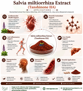 HGO Factory Direct Supply Extrait de salvia miltiorrhiza naturel pur (qualité alimentaire santé) Spécification Tanshinone IIA 1% - Product Image 4