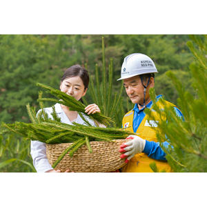 Cápsulas de Aceite de Agujas de Pino Rojo Coreano, Productos de Belleza, Antioxidante, Refuerzo Inmunológico, 180 Cápsulas, Dosis Diaria, Vitamina E, Set de Regalo, OEM - Product Image 6