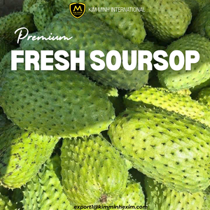 Proveedor de Guanábana Fresca Premium _ Venta al por Mayor para Importadores Globales - Product Image 2