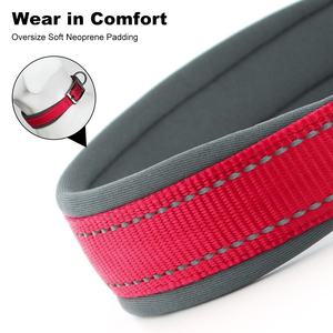 Collier pour chien en nylon tactique rembourré et réglable de 2 pouces, robuste, avec poignée et rivets imprimés – Offre Spéciale - Product Image 2