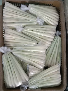 Citronnelle congelée pour la vente en gros à prix d'usine Citronnelle congelée IQF en feuilles entières tranchées de haute pureté prix bon marché du Vietnam - Product Image 2