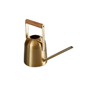 Arrosoir en métal durable finition dorée pour plantes d'intérieur et d'extérieur, anti-fuite - Product Image 1