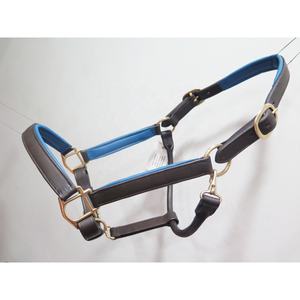 Licou de cheval en cuir indien en laiton massif avec accessoire de rembourrage coloré - Product Image 1