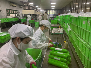 MADE IN VIETNAM 100GPD UNDERSINK PORTABLE MANUAL WATER PURIFICATION 7-Stages for Hotel / Commercial Use-OEM/CUSTOMIZABLE - Product Image 4