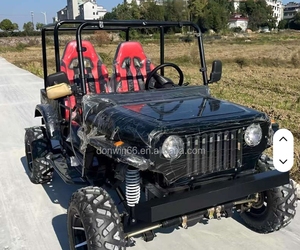 Carrito Jeep Donwin, Fabricación China, 200cc 300cc, Color Personalizado, Gasolina, Cuatro Ruedas, Frenos de Disco Hidráulicos, Neumáticos de Goma Sólida - Product Image 4