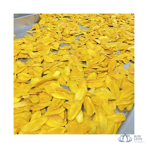[MEJOR PRECIO] |   Rodajas de Mango Secas y Suaves, Delicioso Snack de Fruta Preservada, Suministro al por Mayor para Servicios de Alimentación desde Vietnam - Product Image 1