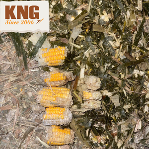 Silage de maïs, Silage de maïs riche en nutriments, Silage de maïs pour le bétail, Silage de maïs fermenté pour l'alimentation animale - Product Image 5