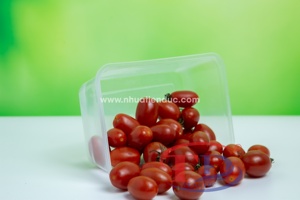 Conteneur en plastique PP rectangulaire Tien Duc de 550 ml, 650 ml, 750 ml, 1000 ml avec couvercle, boîte de rangement alimentaire jetable - Product Image 5