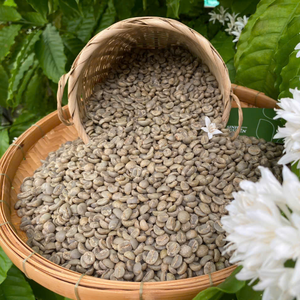 100 Arabica Honey Coffee <b>Beans</b> V60 Pour Medium Roast Sweet Flavor Premium OEM ODM Wholesale B2B 1Kg <b>Bag</b> Factory Vietnam - Product Image 5