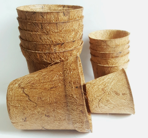 Eco Coconut Fiber Seedling Pot - Natural Biodegradable Growing Container for Horticulture <b>Plants</b> - Product Image 6