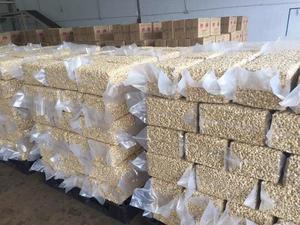 Noix de cajou biologiques du Vietnam les plus vendues W180/W240/W320, noyaux bruts de qualité supérieure, marque Phalco, durée de conservation de 24 mois pour la vente en gros - Product Image 2