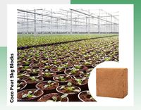 Noix de coco de haute qualité Pith ou Coco Peat 5Kg Blocs pour serre
