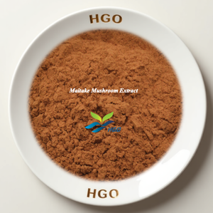 Suministro Directo de Fábrica HGO de Extracto Puro y Natural de Hongo Maitake, Grado Alimenticio, Especificaciones 5:1, 10:1, 20:1 - Product Image 1