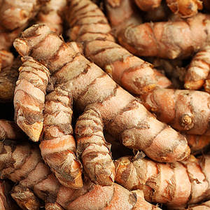 Offre Exceptionnelle : Curcuma Frais du Vietnam en Gros à Prix Imbattable - Product Image 2