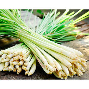 <b>LEMONGRASS</b> ESSENTIAL OIL SPRAY <b>VIETNAM</b> | FRESH CITRUS AROMA FOR HOME & WELLNESS - Product Image 2