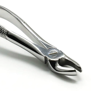 Ensemble de forceps d'extraction dentaire en acier inoxydable pour adultes/enfants, instruments buccaux, forceps d'extraction dentaire pour dix dents, haute qualité - Product Image 5