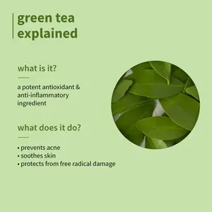 Limpiador Facial de Té Verde Orgánico de Marca Privada OEM, Limpieza Profunda, Control de Grasa, Antiacné, con Antioxidantes, Venta al Por Mayor - Product Image 4