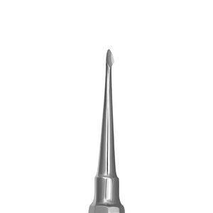 Elevador de Raíces Dentales al por Mayor de Acero Inoxidable, Instrumentos Dentales Autoclavables, Herramienta Quirúrgica, Aprobado por CE - Product Image 4