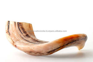 Meilleures ventes Authentique corne de Kudu Shofar israélien demi-poli casher sculpté ange Style religieux - Product Image 4