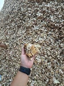 Vente en gros de copeaux de bois en grande quantité en provenance du Vietnam pour les applications de pâte à papier/biomasse combustible à prix avantageux - Product Image 3