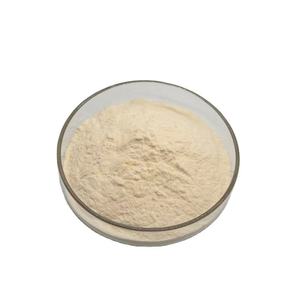 Poudre de graines de citrouille 100 % naturelle et riche en minéraux, qualité alimentaire, 100 % pure et séchée, pour smoothies et boissons, fournisseur en gros - Product Image 5