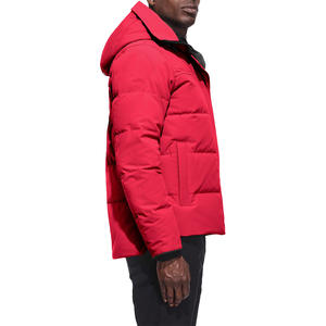 Chaqueta Acolchada para Hombre de Fábrica OEM, Chaqueta de Invierno con Logotipo Personalizado para Marca y Etiqueta Privada - Product Image 5