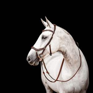 Bridon de course pour chevaux en cuir rembourré, de haute qualité, doux, parfaitement ajustable, luxueux, tendance, vente en gros, au meilleur prix - Product Image 5