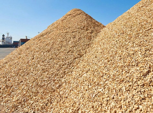 Astillas de Madera de Acacia Natural de Alto Contenido Calórico para Calderas Industriales, Proveedor de Combustible de Biomasa a Granel, Exportación Directa, Energía Sostenible - Product Image 6