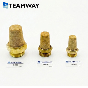 TEAMWAY Silenciador de Bronce Sinterizado Serie SG, Filtro de Ruido Neumático de Latón para Escape M5 1/8" 1/4" 3/8" 1/2" 3/4" - Product Image 2