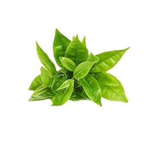 แบรนด์ kmp ของประเทศไทยชะเอมจีนเบลฟลาวเวอร์บวกกับชาจีน lozenges 400เม็ด/กล่องการเพาะปลูกป่า-rhizakof - Product Image 4