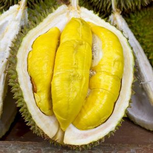 Durian Fresco de Calidad de Exportación |   Fruta Tropical Vietnamita Natural - Product Image 6