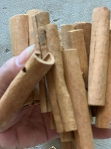 Canela Cassia Natural de Vietnam de Primera Calidad, Rollo de Canela Entera Seca, Aroma Intenso, Proveedor Mayorista de Exportación - Sra. Grace - Product Image 3