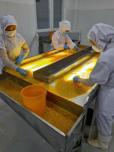 Purée de fruit de la passion surgelée de qualité export pour l'industrie des boissons et la transformation de desserts, avec une qualité fiable - Product Image 6