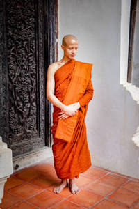 ใกล้กับด้าย: พระสงฆ์ที่เชี่ยวชาญศิลปะผ้า Tuffing - Product Image 2