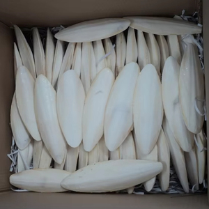 ผงกระดูกปลาหมึกธรรมชาติสำหรับนก อาหารเสริมแคลเซียมสูง ผู้จัดจำหน่ายและผู้ค้าสำหรับอุตสาหกรรมสัตว์เลี้ยง 22 - Product Image 2