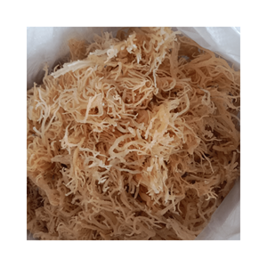 สาหร่าย Eucheuma cottonii แบบแห้งธรรมชาติสีเหลืองทองสีม่วงเวียดนามจาก99โกลด์ดาต้า - Product Image 4