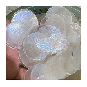 Coquillages de Capiz 100% naturels pour l'artisanat, la décoration intérieure, les projets de design et la fourniture en gros de matériaux en coquillages - Product Image 2
