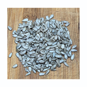 จำหน่ายเมล็ดทานตะวันคุณภาพสูงสำหรับการขายส่งในระบบซัพพลายเชน - Product Image 2