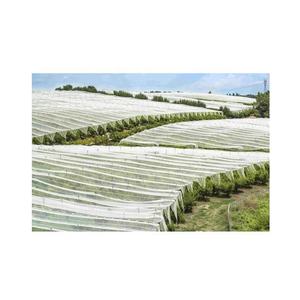 Venta al por mayor, superventas, 17-50GSM, cubierta de cultivo ligera, tela PP, cubierta de fila flotante transpirable para protección de plantas, cubierta de escarcha - Product Image 2