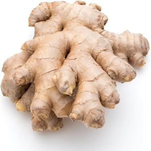 Gingembre frais biologique de qualité supérieure, prix de gros, qualité exceptionnelle, gingembre frais en vrac, légumes frais - Product Image 3