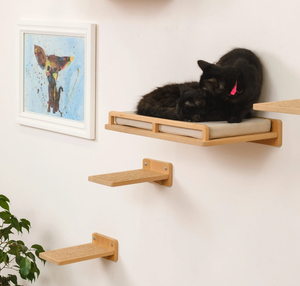 Cama y escalones para gatos, estantes para gatos para pared, estantería de pared para gatos, muebles de pared para gatos, cama de pared para gatos, escalones de pared para gatos, madera pura - Product Image 4
