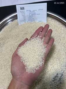 Arroz Japonica de Vietnam 5% 25% 100% Quebrado |   Arroz Aromático Premium para Venta al por Menor en Supermercados |   Empaque OEM – Anh Rice - Product Image 2