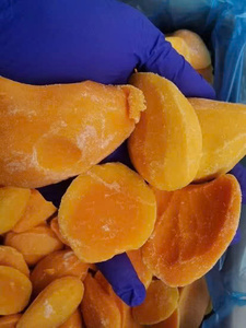 Mango Congelado de Alta Calidad (Helado, Rodajas, Cubos, Puré) Vietnam 100% Mango Natural en Empaque a Granel - Product Image 2