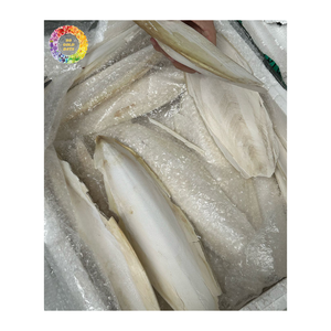 Hueso de Sepia de Alta Calidad, Hueso de Sepia Premium para Alimentación de Aves, Alimentación Animal, Calcio Marino, Exportación a Granel - Product Image 1