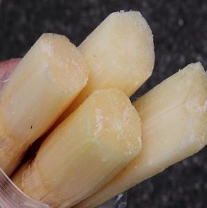 POUDRE DE MÉLASSE DE CANNE À SUCRE SÉCHÉE DE HAUTE QUALITÉ ORIGINE VIETNAM/ms.LINA - Product Image 2